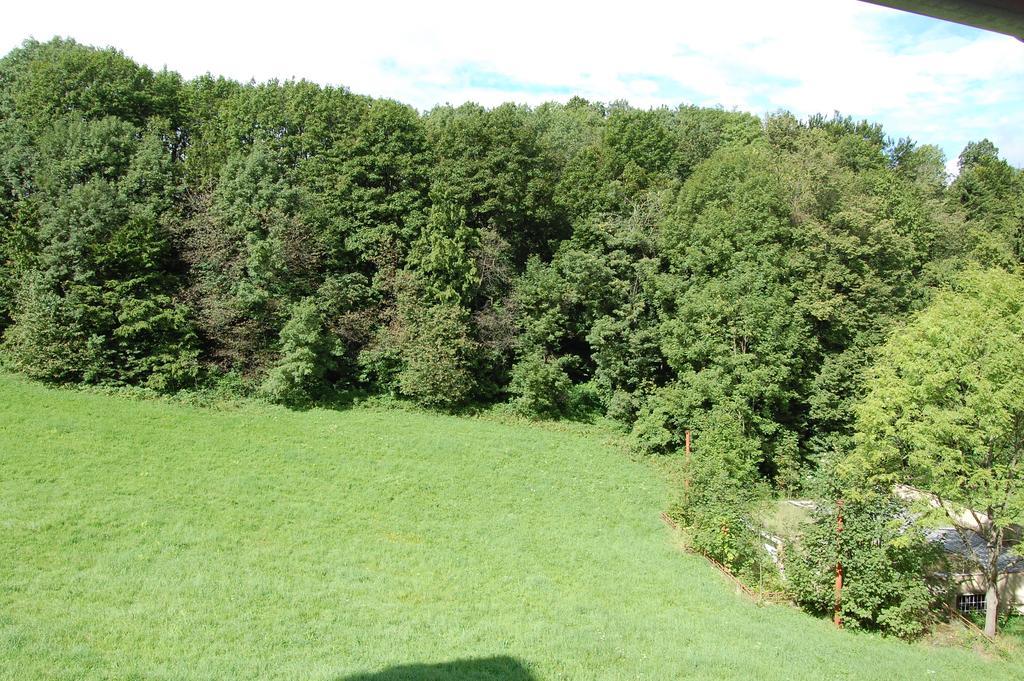 Penzion U Mustku Jiriho Rasky Trojanovice Zimmer foto